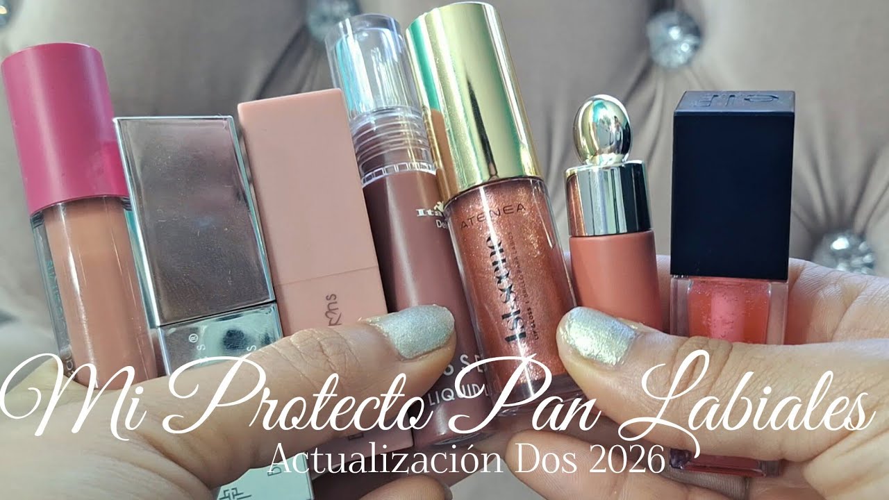 Mi Proyecto Pan Labiales 💄💋|ACTUALIZACI&Oacute;N 2| 2026