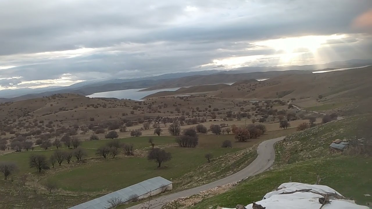 Özgür daş 