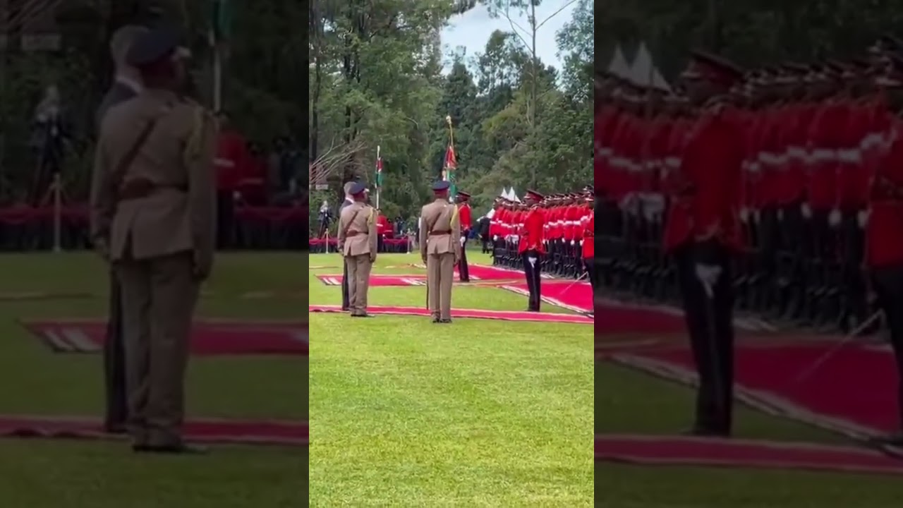 FINLAND PRESIDENT ALEXANDER STUBB INSPECTING THE GUARD OF HONOUR DURING HIS STATE VISIT IN KENYA