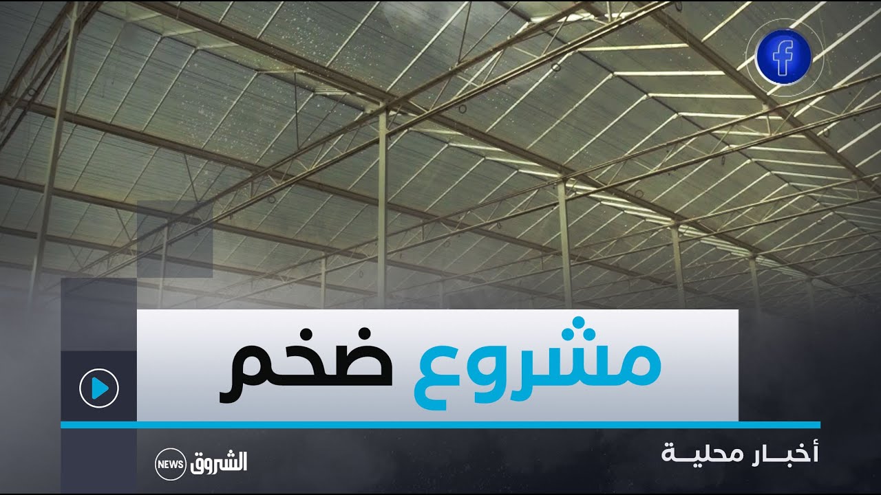 #بسكرة| مشروع ضخم لإنتاج الطماطم الكرزية في بيوت زجاجية دعما للاقتصاد الوطني