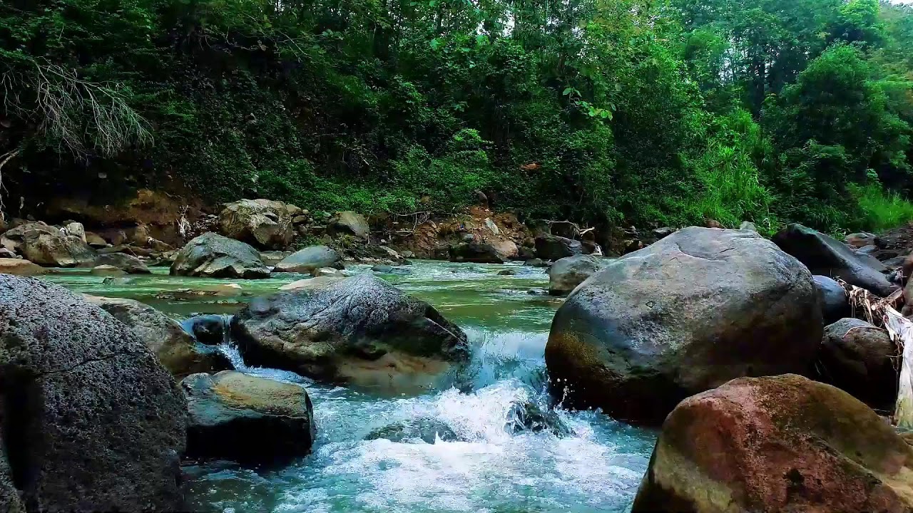 Best White Noise for Sleeping – Peaceful River Ambience All Night