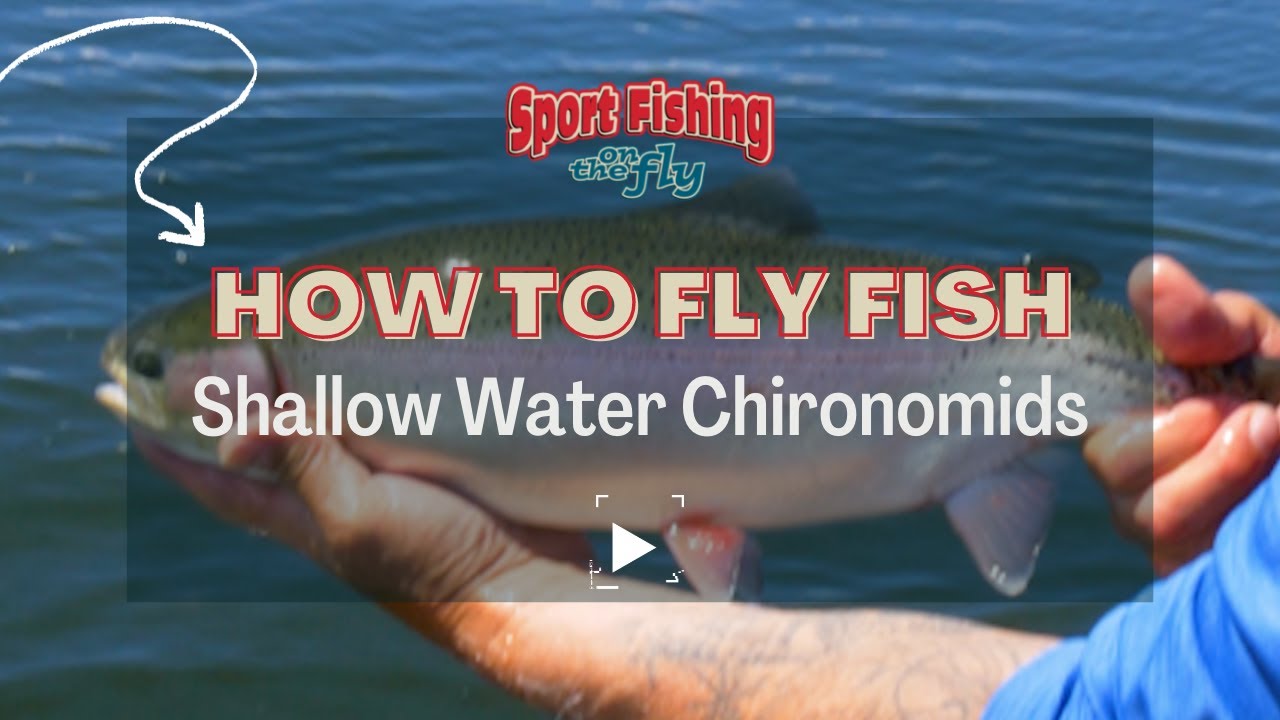 FLY FISHING: HOW TO FLY FISH SHALLOW WATER CHIRONOMIDS