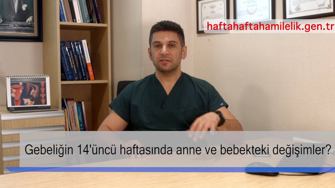 Gebeliğin 14. haftasında anne ve bebekteki değişimler ?