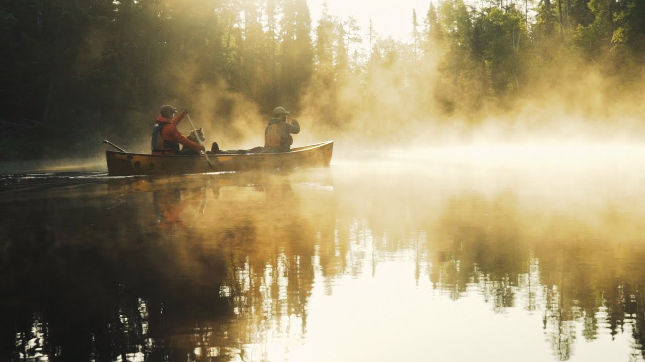 A YEAR IN THE WILDERNESS