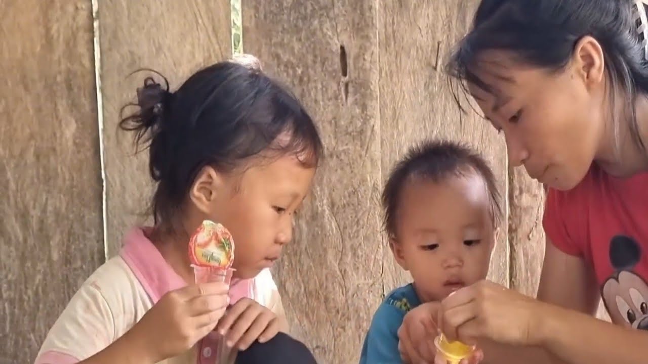 Parents Risk Their Lives Picking Yellow Swallow Nests | Emotional Family Story