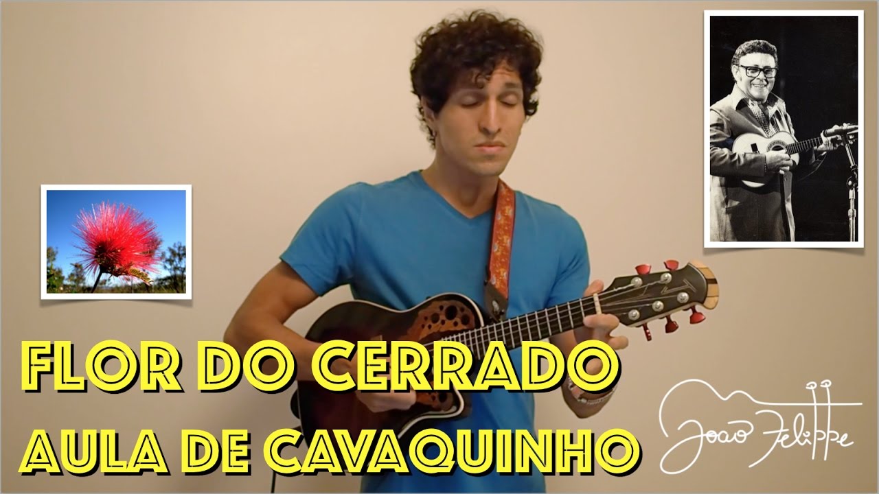 Flor do Cerrado, por João Felippe - AULA DE CAVAQUINHO