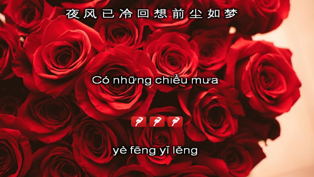Karaoke song ngữ 999 ĐOÁ HỒNG | 九佰九拾九朵玫瑰 - Trác Y Đình 卓依婷