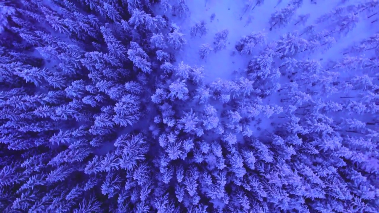 Ali Ferguson - This Shortest Day