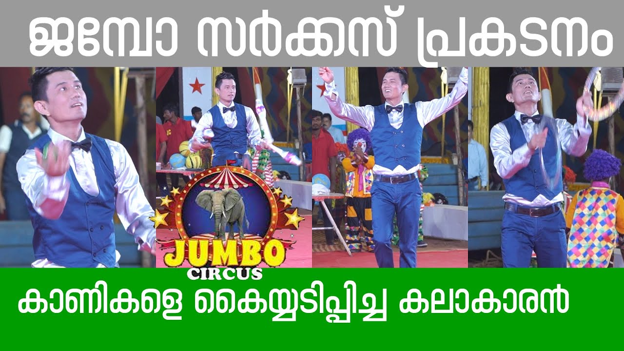 Most Amazing Circus Act You've Ever Seen | Single Performance | Jumbo Circus #jumbo #circus #single