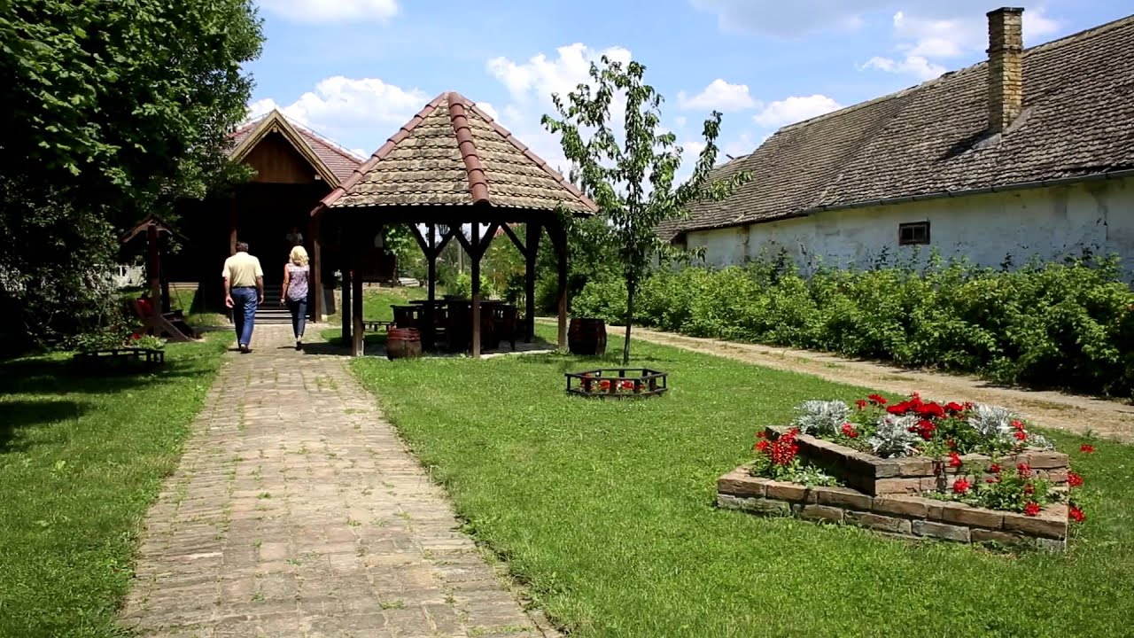 Erdut Wine Routes