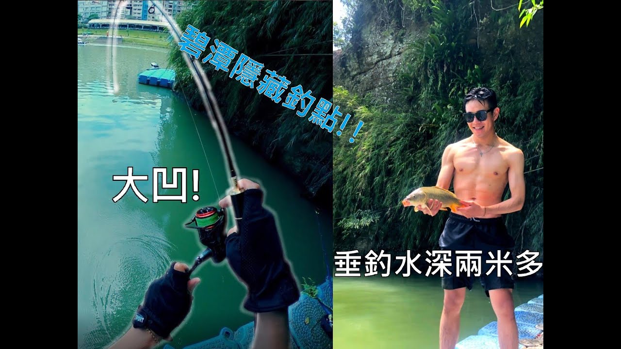 碧潭隱藏釣點！魚太胖跳水抓魚