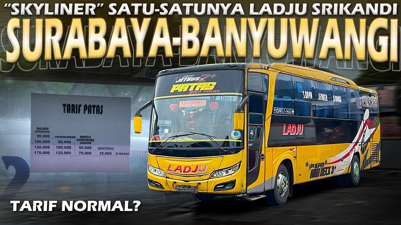 MELADJU CEPAT DI JALANAN! Trip Surabaya-Banyuwangi Naik SKYLINER Ladju Srikandi😍
