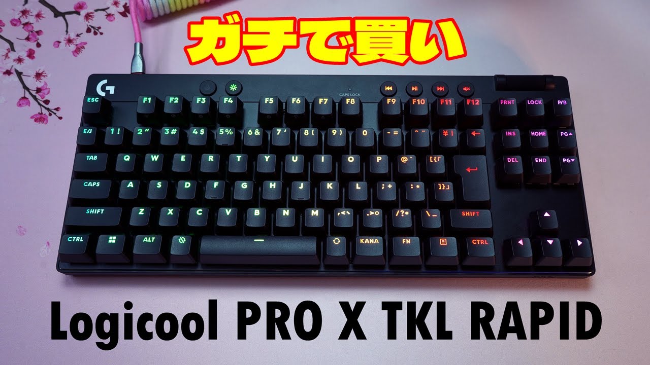 [2024ガチモデル]ロジクール GPRO X TKL RAPID レビュー ラピッドトリガーキーボード徹底解説 [待望のラピトリ]