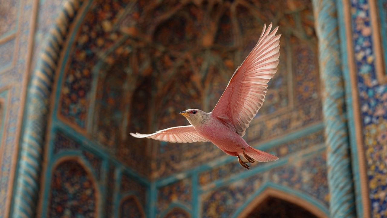 ✨ КАВЕР ОТ ПОКЛОННИЦЫ АИЛИН | &laquo;Лети за мной&raquo; ✨#recommended #music #hit #top