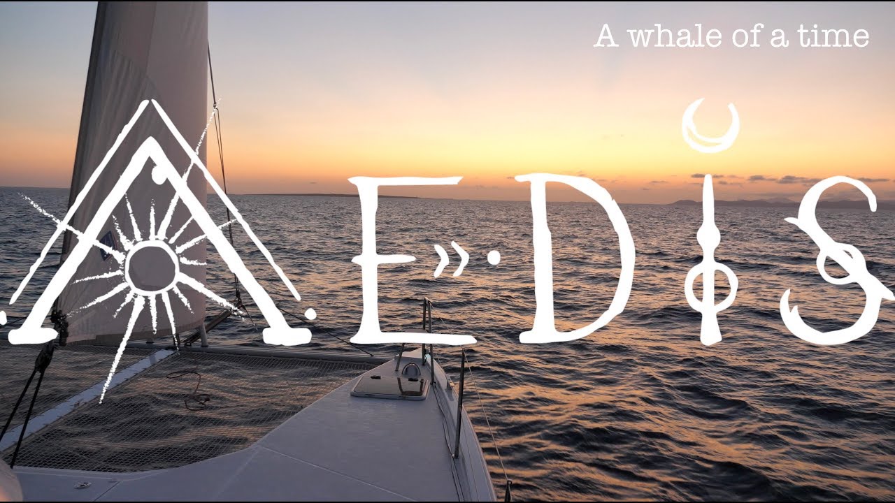 Sailing Aedis Episode 29: A whale of a time! (Menorca to Santa Pola)