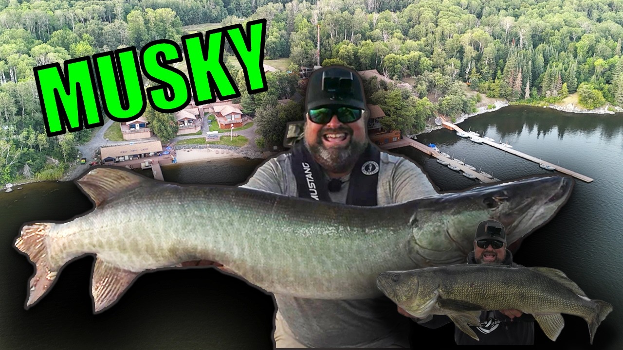 Fishing Lake of the Woods for Musky and GIANT WALLEYE!
