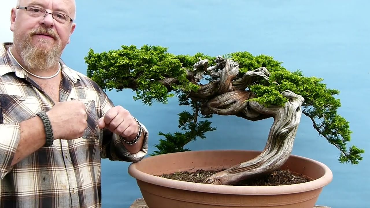 Graham Potter Bonsai - First Pot For Incredible Yamadori Juniper