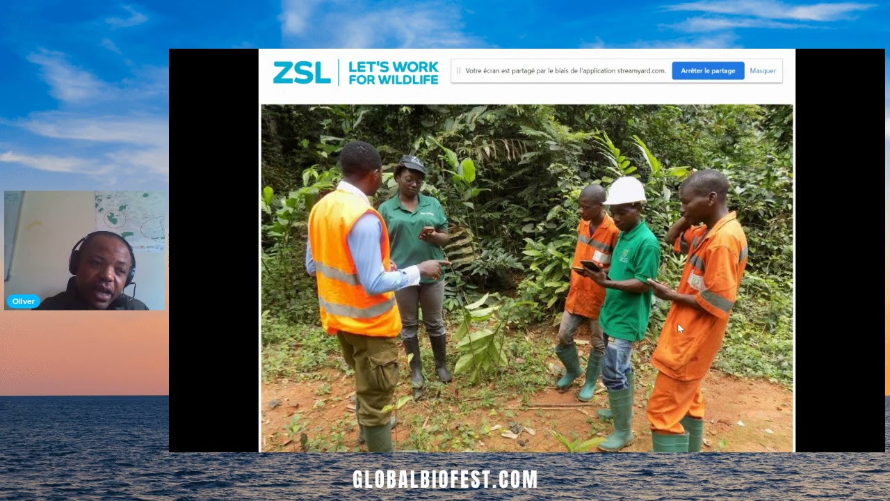 Oliver Fankem | Elephants and Great Apes conservation in the TRIDOM, the ZSL approach in Cameroon