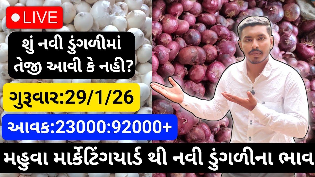 મહુવા થી લાલ અને સફેદડુંગળીના ભાવ🔥| 29/1/26 | White & Red Onion Market Rate Today💸| लाल ओर सफेद भाव🧅