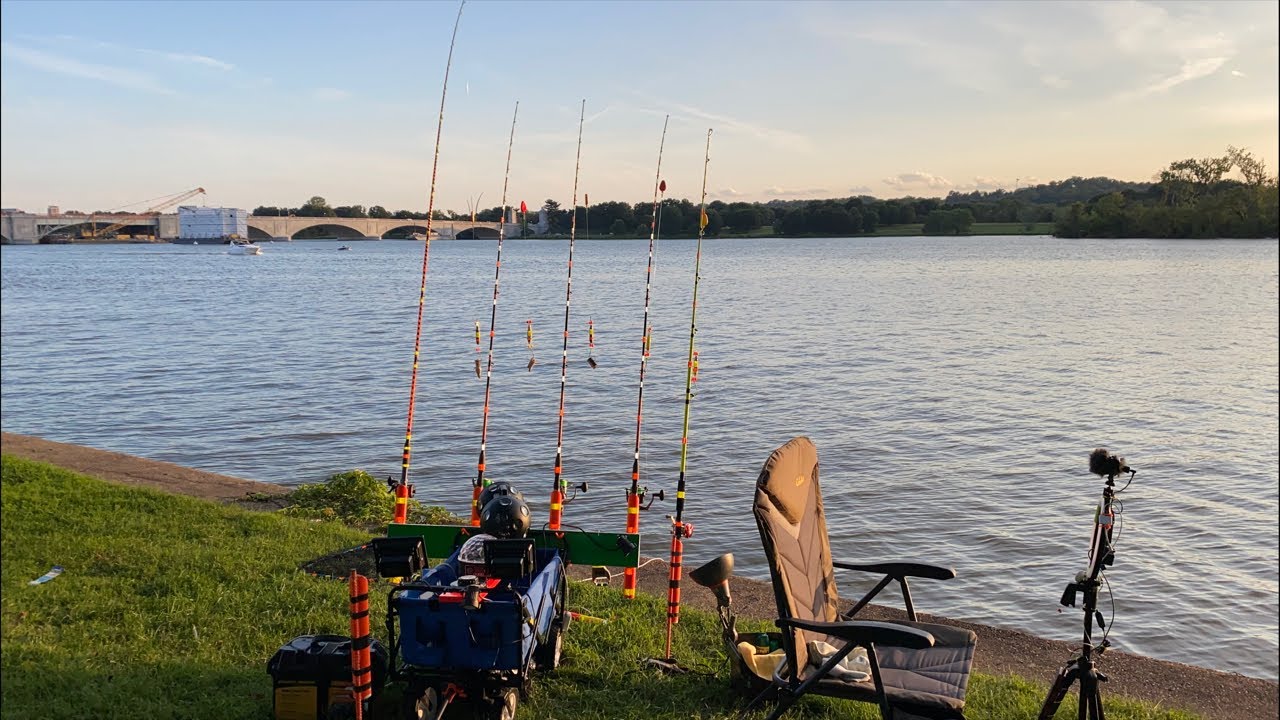 Chunky Cats Fishing Monster Catfish live Bait Shop Pre-show!