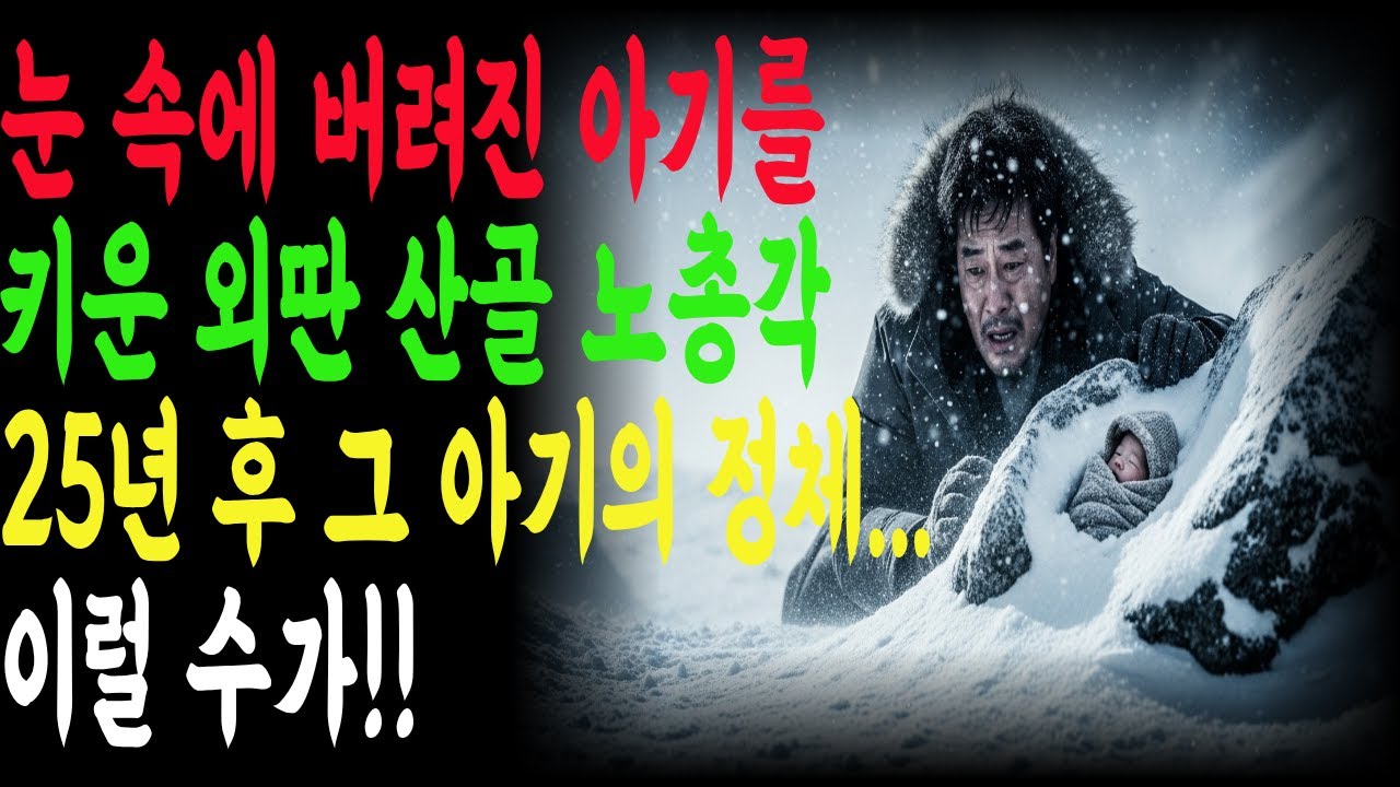 눈 속에 버려진 아기를 주워 키운 외딴 산골 노총각, 25년 후 그 아기의 정체... 이럴 수가!! |시니어 사연 |오디오북|노후사연 |반전사연| 인생 사연