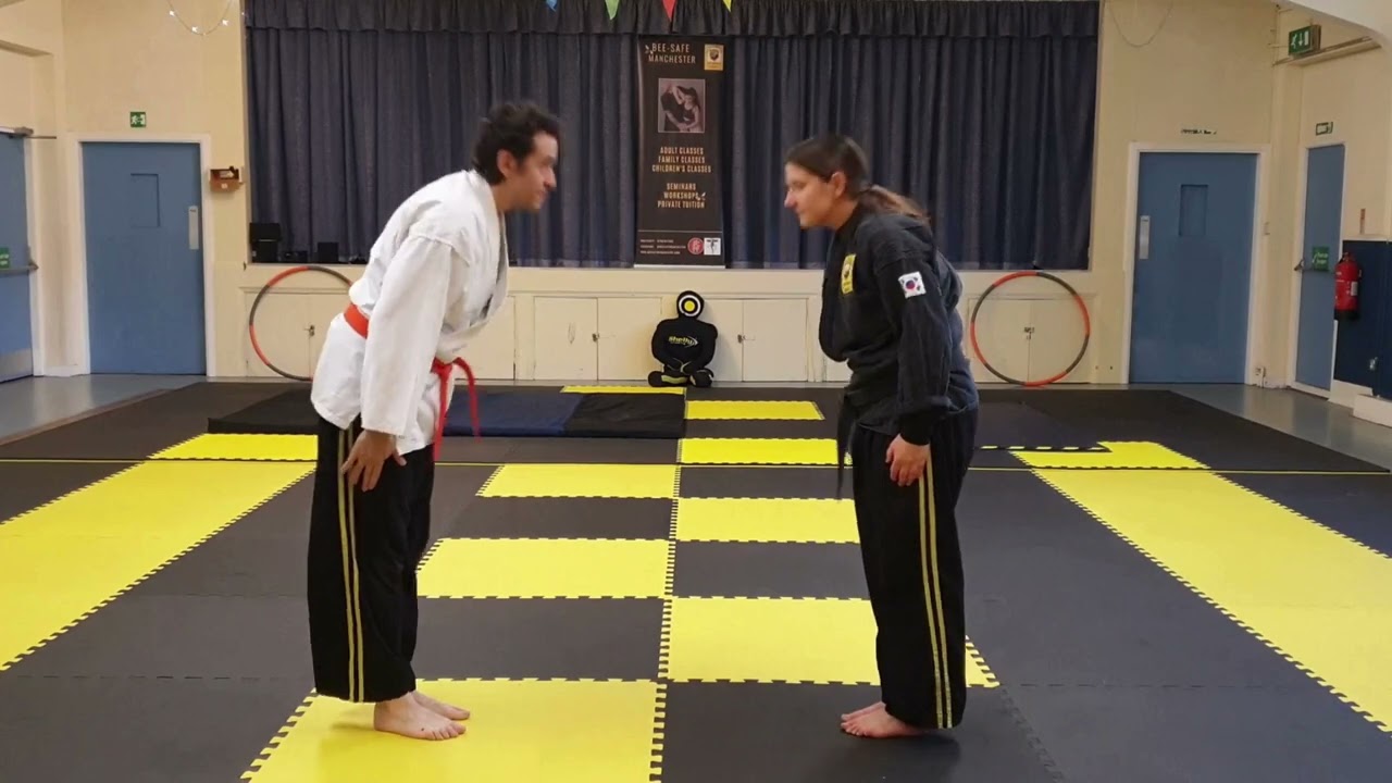 Video Syllabus Taijutsu - Orange Belt