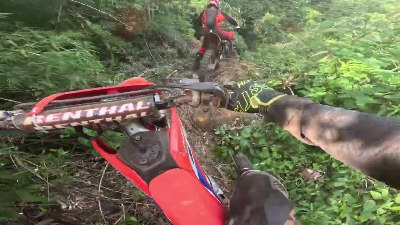 18ª Trilha da Quiçassa  planalto alegue parte final 