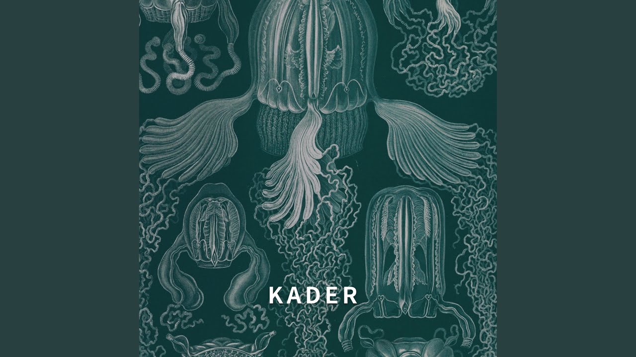Kader