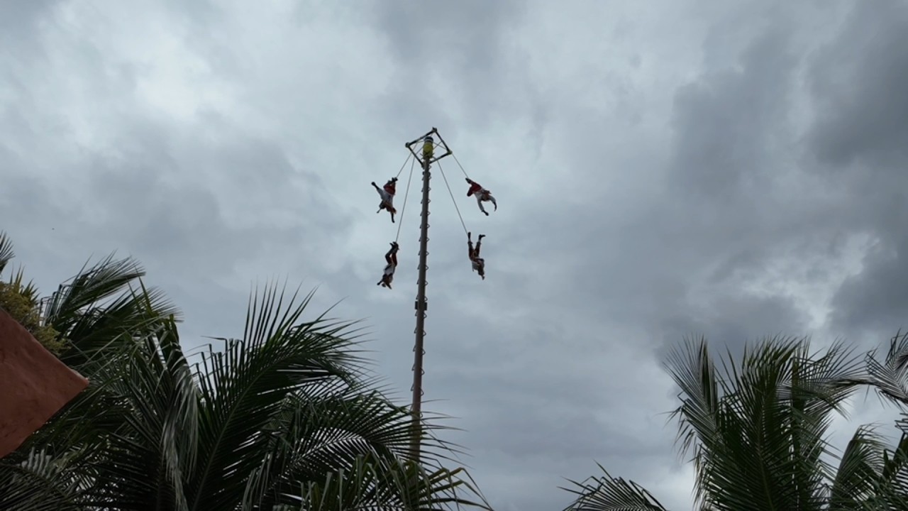 Costa Maya Paplantla Flyers