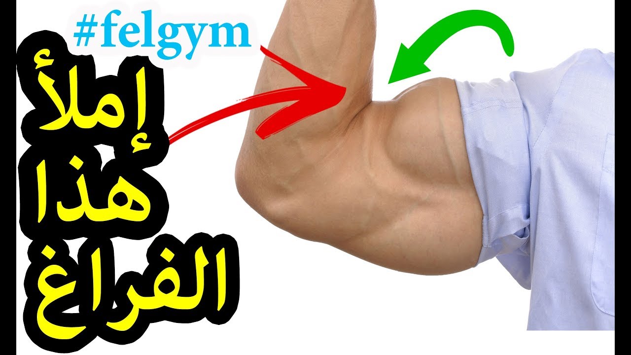 التحكم فى طول و شكل عضلة الباى ( البايسبس ) | Biceps shaping