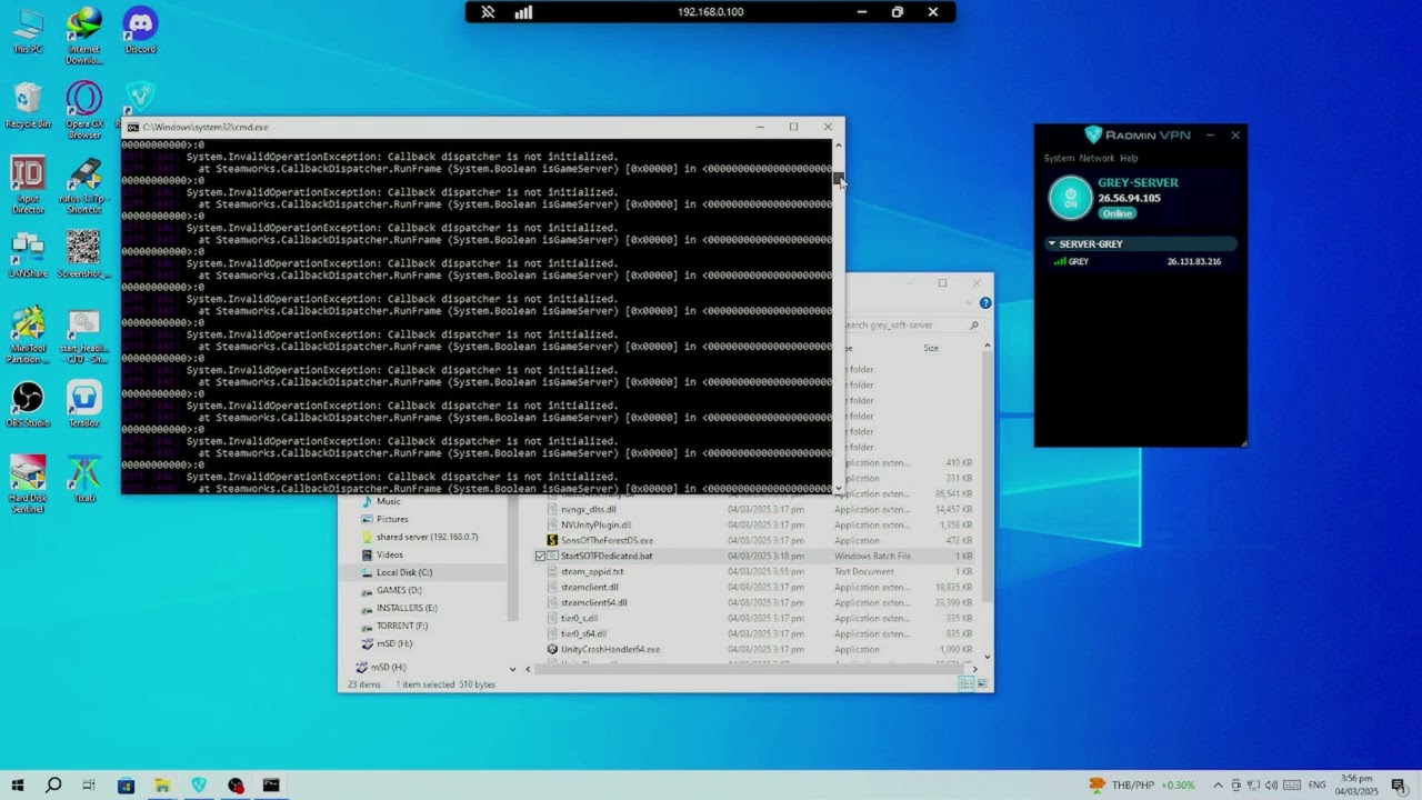 How to Create Son of the Forest Dedicated Server (RadminVPN) Part 2