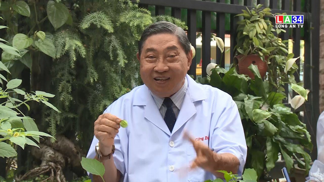 Công dụng của Cây Thù Lù