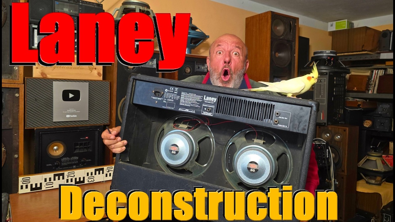DECONSTRUCTION Guitar Amp Speaker Box LANEY LX120RTWIN 12