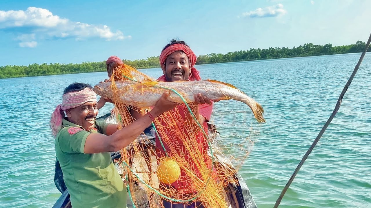 আজ আমরা প্রথমবার সুন্দরবন নদীতে, আট আঙ্গুল ফাসের কটের জাল দিয়ে, বড় লাঠি ভোলা মাছ ধরলাম!!!