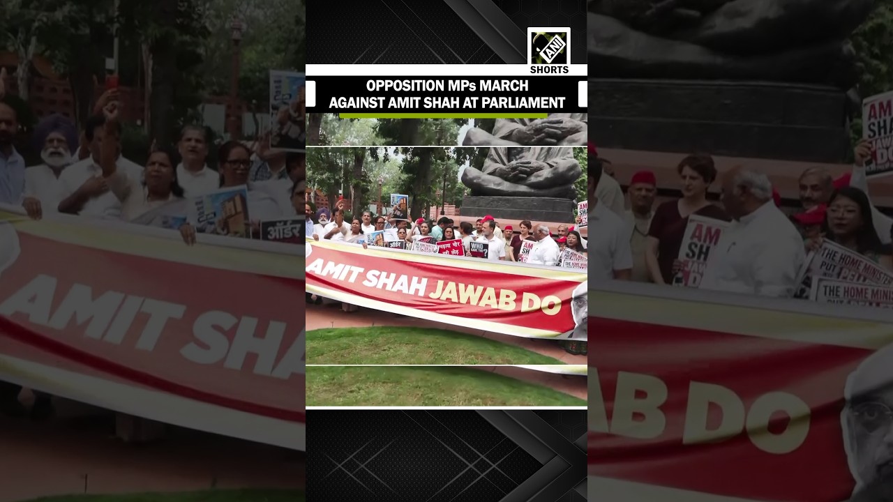 Opposition MPs including Rahul, Priyanka protest against HM Amit Shah over 'police action' on CJP
