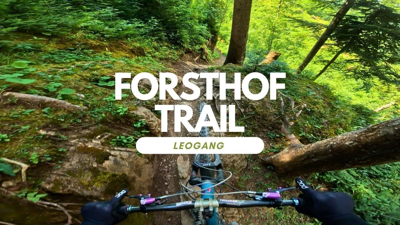 Forsthof Trail Bikepark Leogang Austria Trail Review ganze Strecke Full Run POV RAW