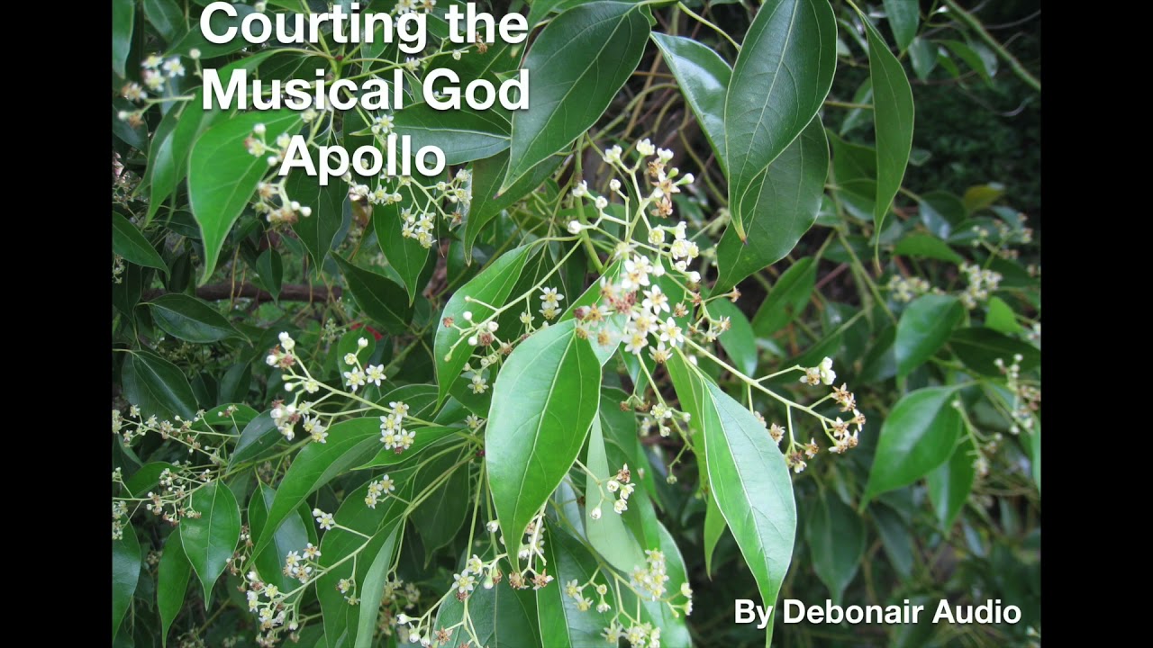 Courting the Musical God Apollo ~ (M4M) ~ (ASMR)