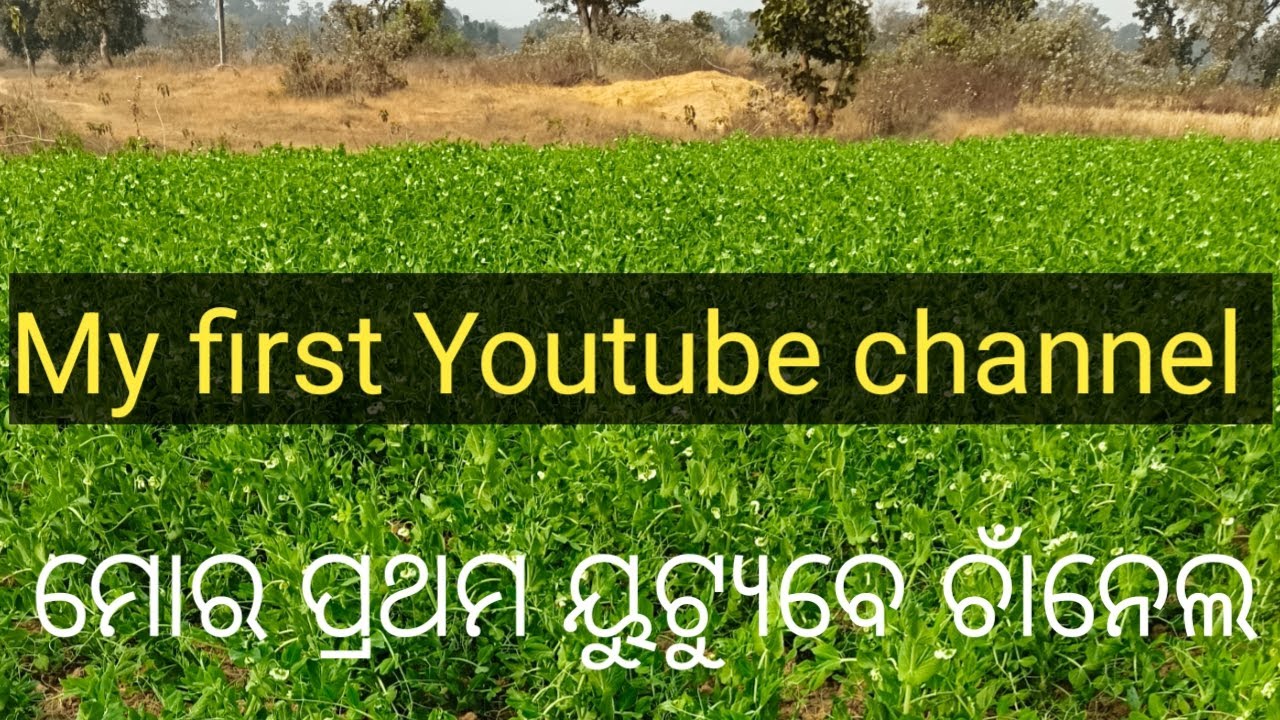 My First Youtuber # Channel # Palag Saga # Moter Chana # traveler