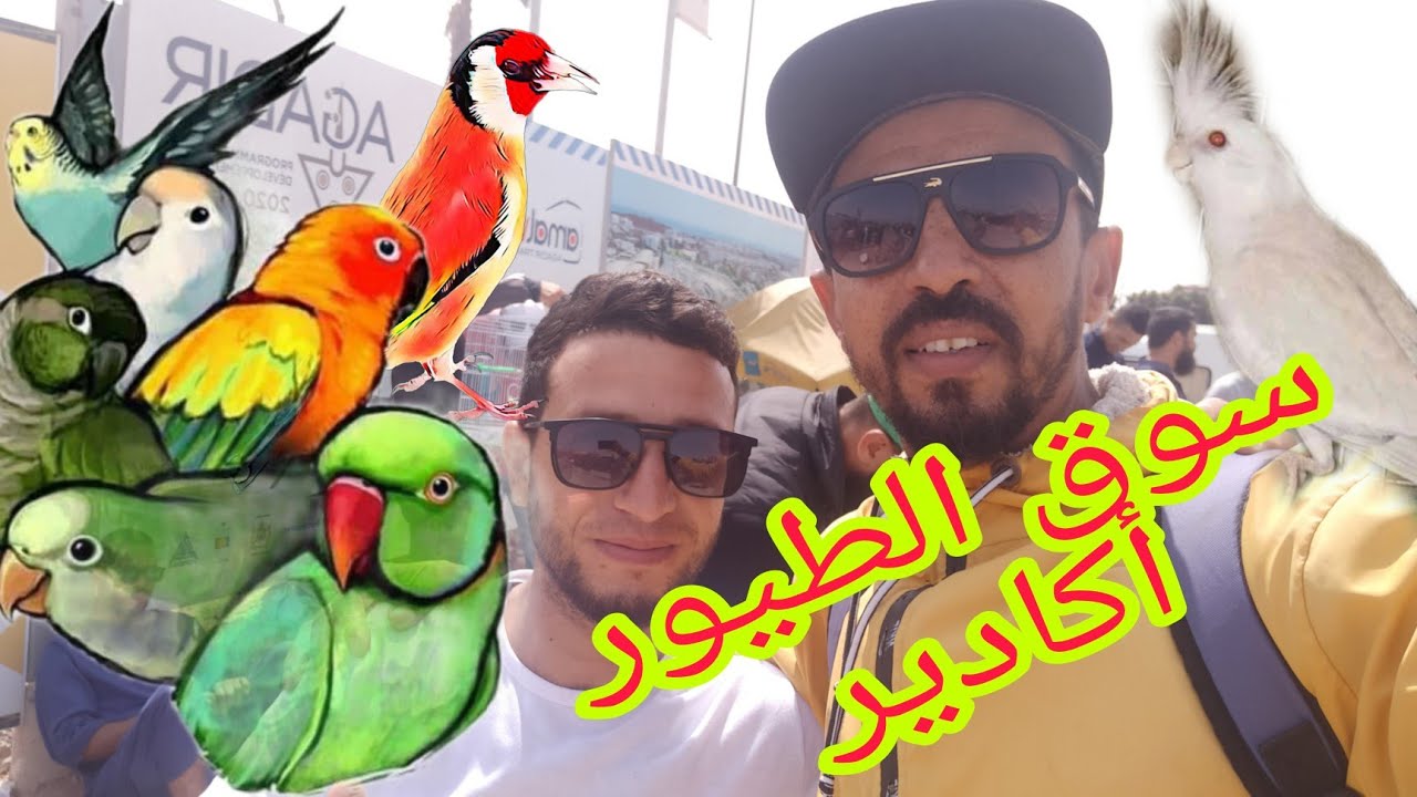 سوق الطيور أكادير ليوم الأحد 17juil+التعرف على أجواء السوق مابعد العيد