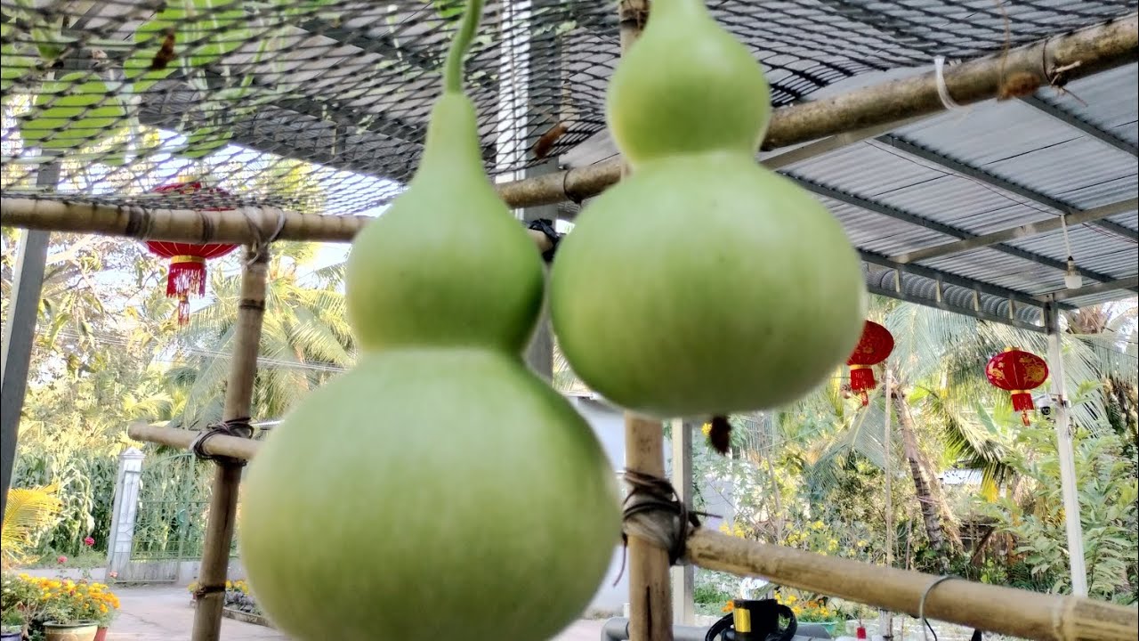 Hoa đẹp