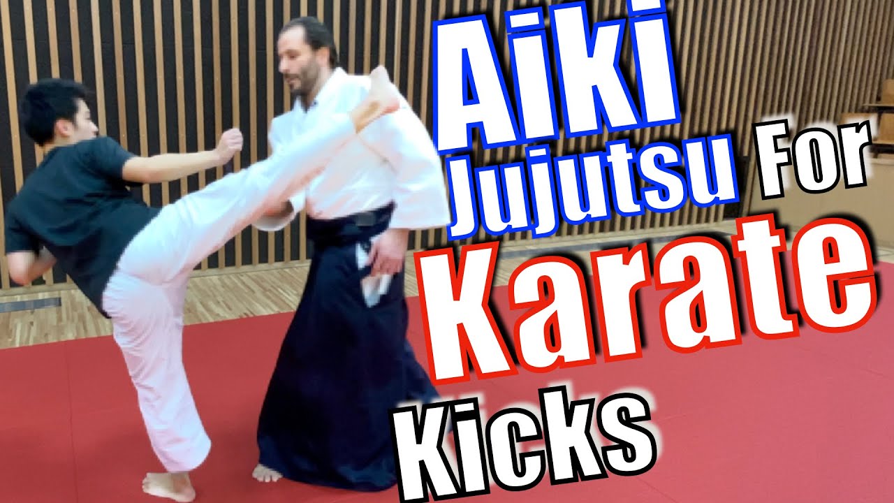 Aim for The KNEE｜Aiki-Jujutsu Against Karate Kicks