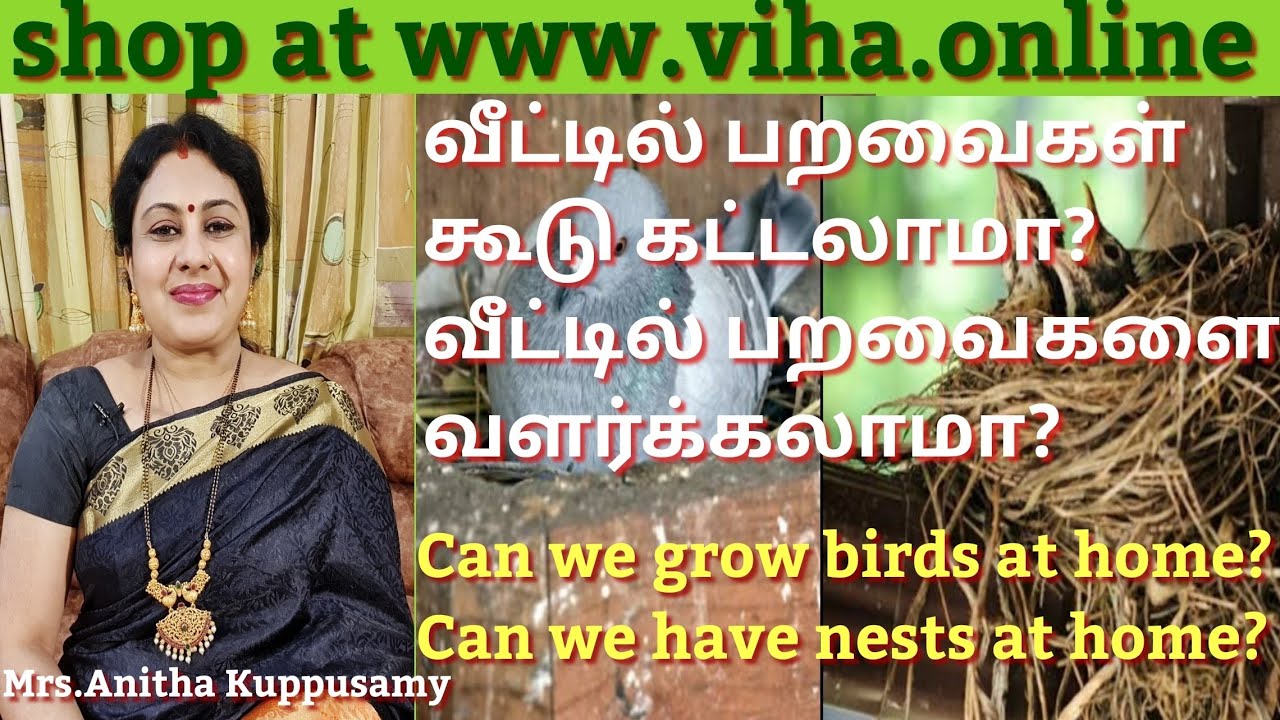 Can we grow birds at home? Can we have nests at home?/வீட்டில் பறவைகள் கூடு கட்டலாமா? வளர்க்கலாமா?