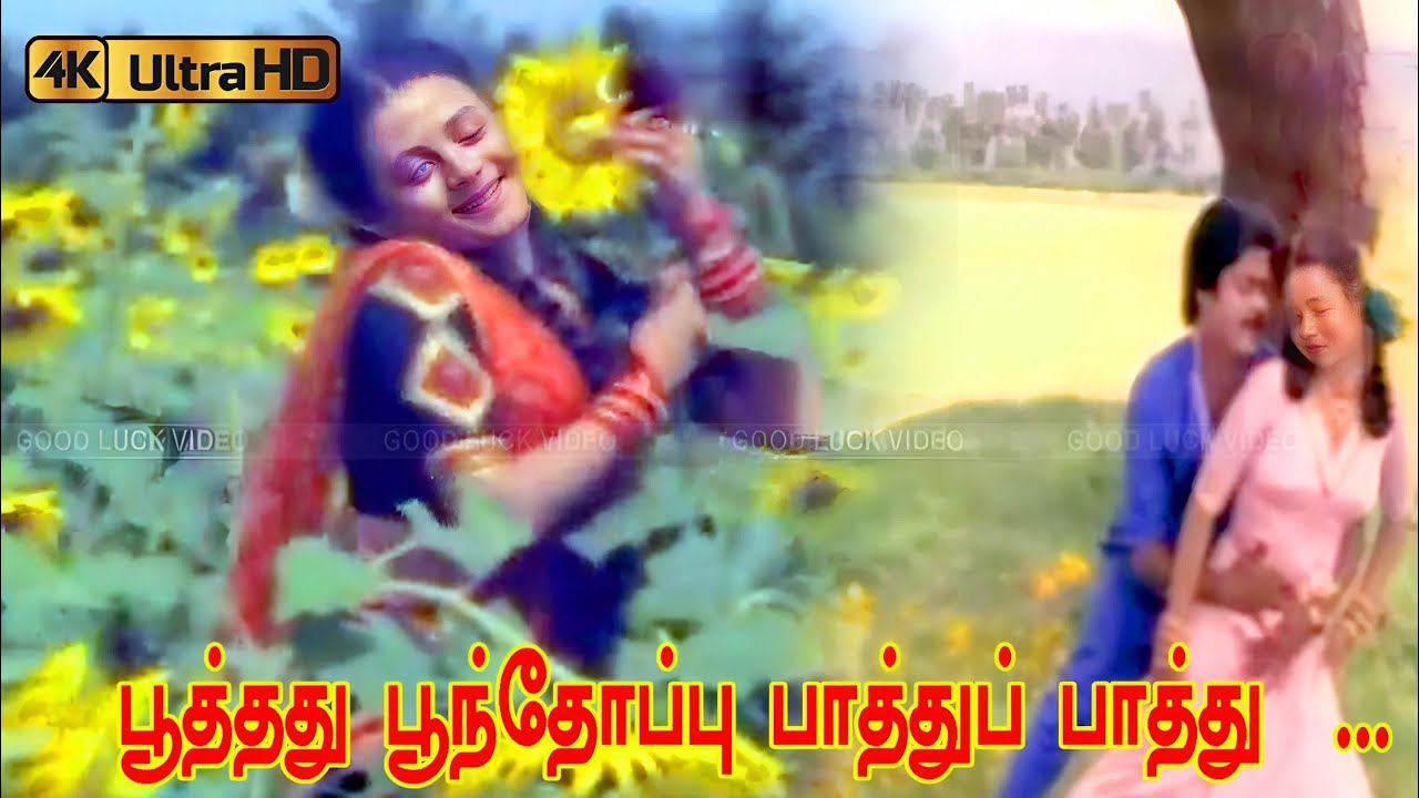 பூத்தது பூந்தோப்பு பாத்துப் பாத்து பாடல் | Poothathu Poonthoppu | Janaki, Mano | Thanga Manasukkaran