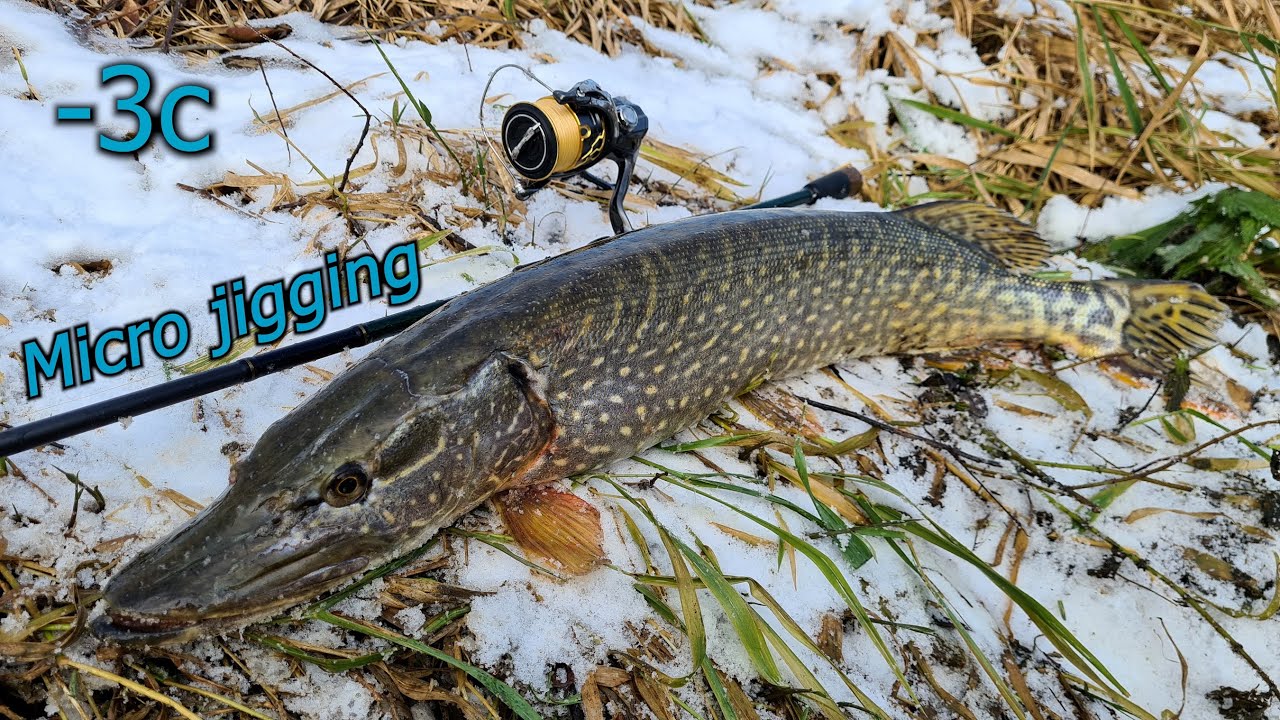 Stuka na micro jig // Pecanje na -3c