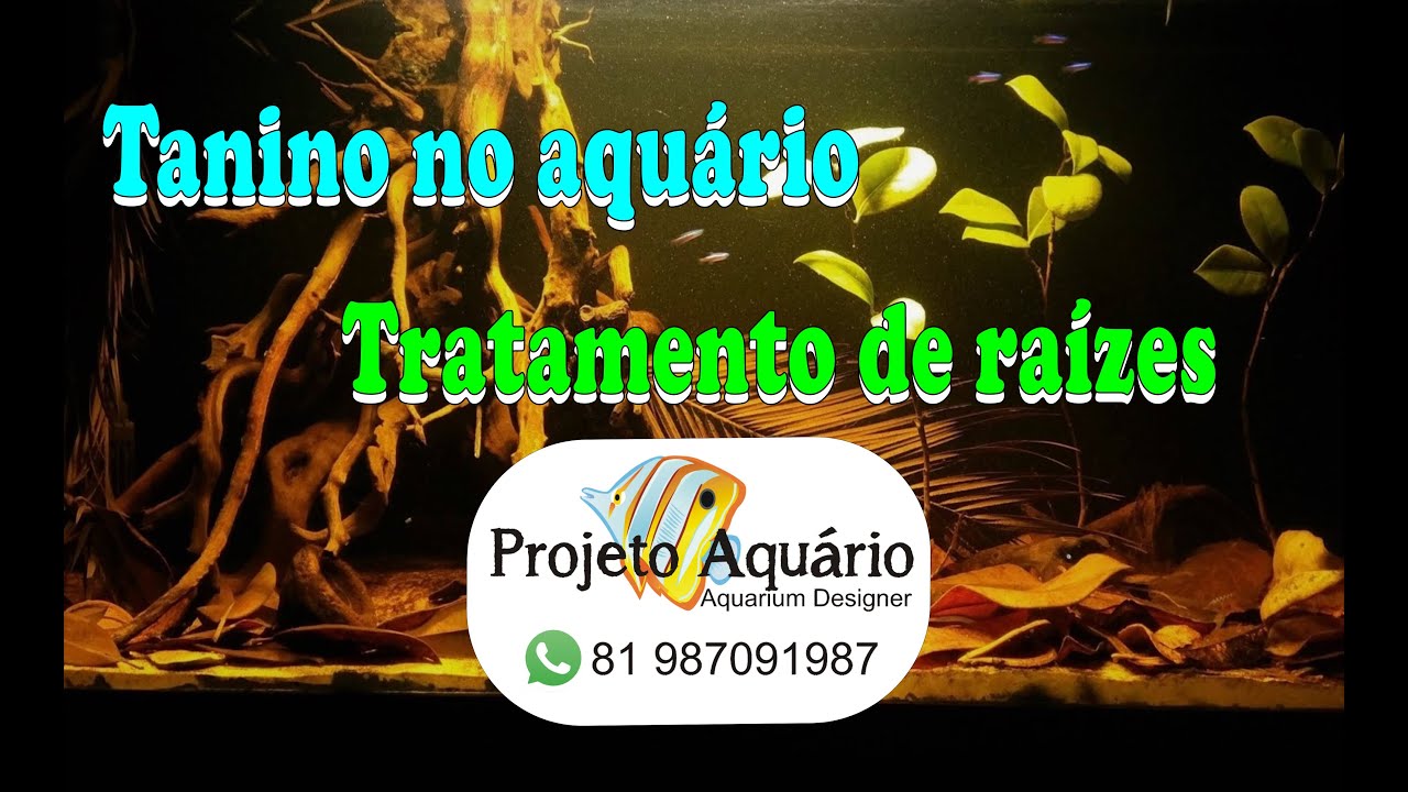 Como eliminar o tanino e tratar troncos e raízes.
