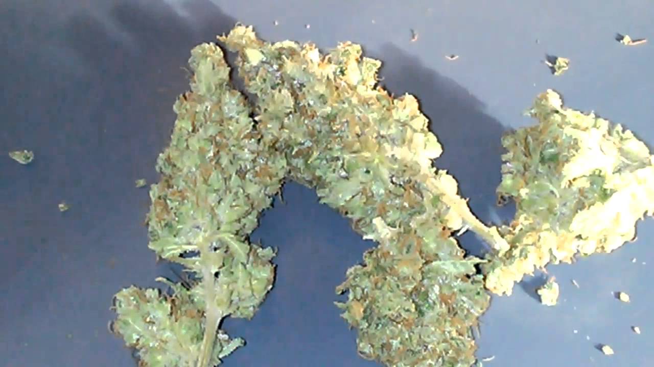 NUG PORN!!!! My breedings. See description