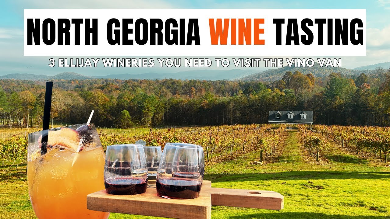 3 Ellijay Wineries You Need to Visit! North Georgia Wine Tasting with Vino Van