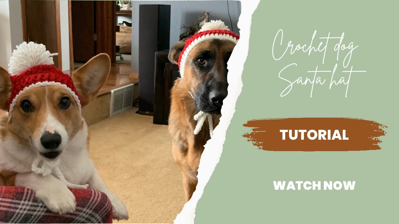 How to Crochet A Santa Hat Medium Size Dog Fun Beginner Friendly Project