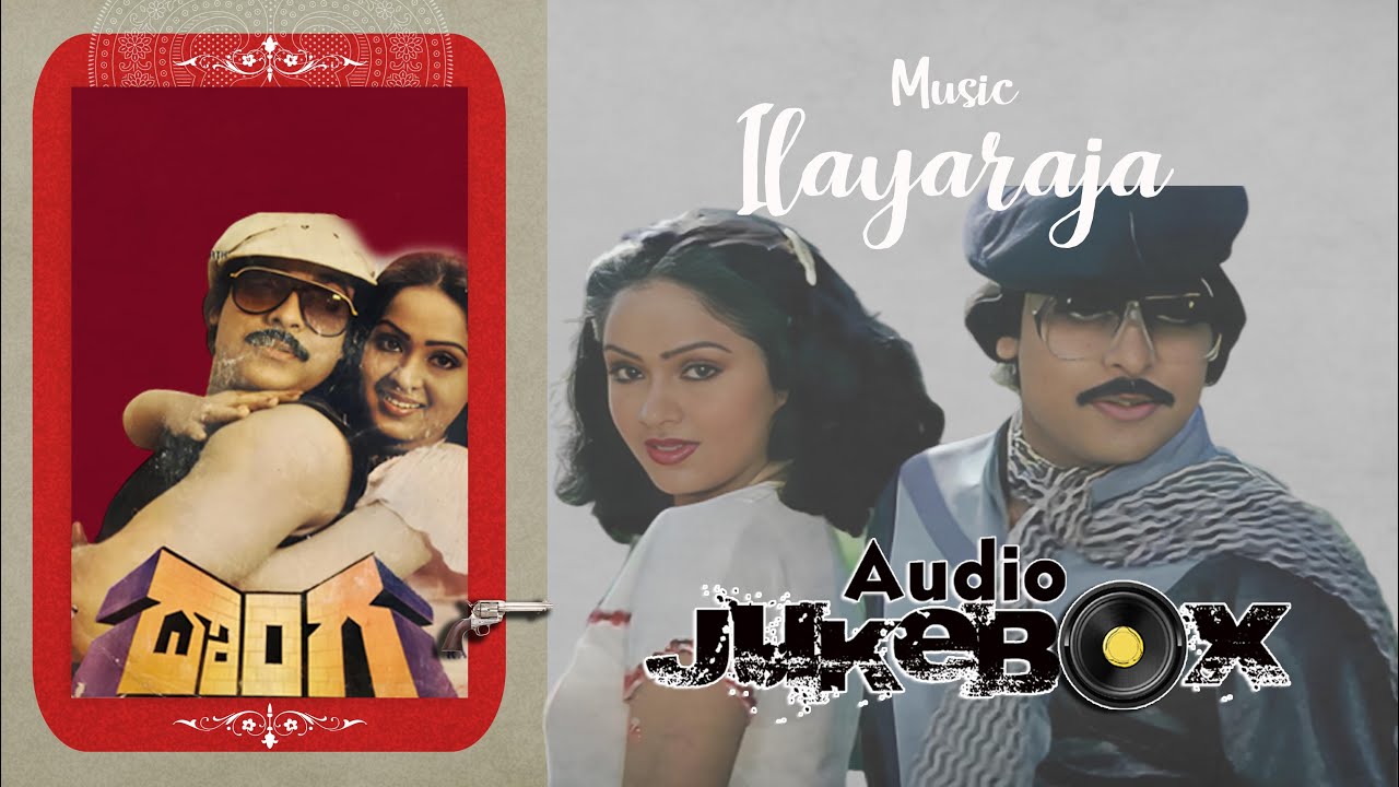 Donga All Telugu Songs | Chiranjeevi, Radha| Ilayaraja | @Vinalanivundi