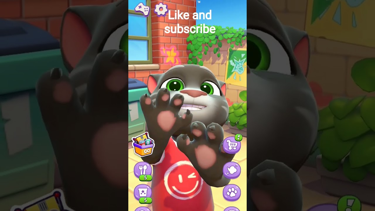 #@funny cat #video #🤣😂#hav #2 fun